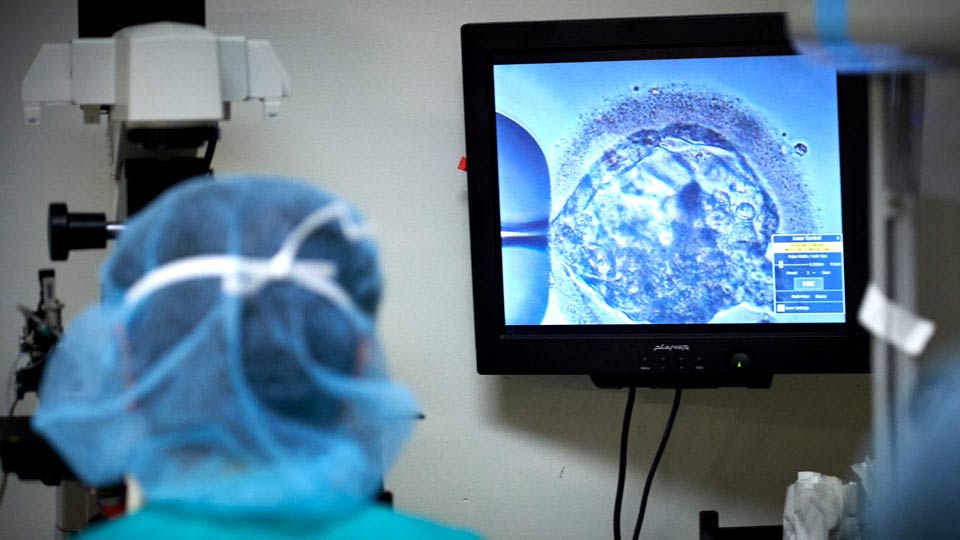 Embryologists at the Fertility Center