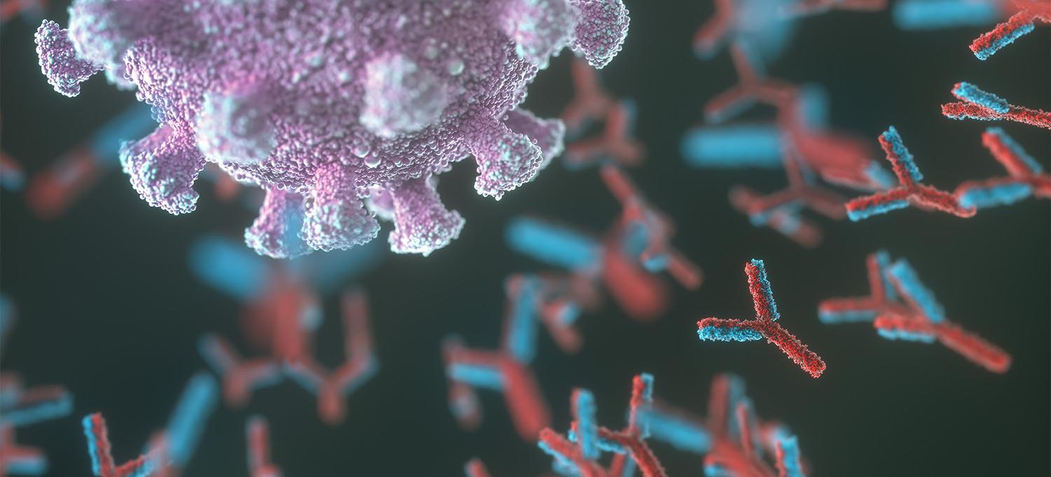 Antibodies Responding to COVID-19