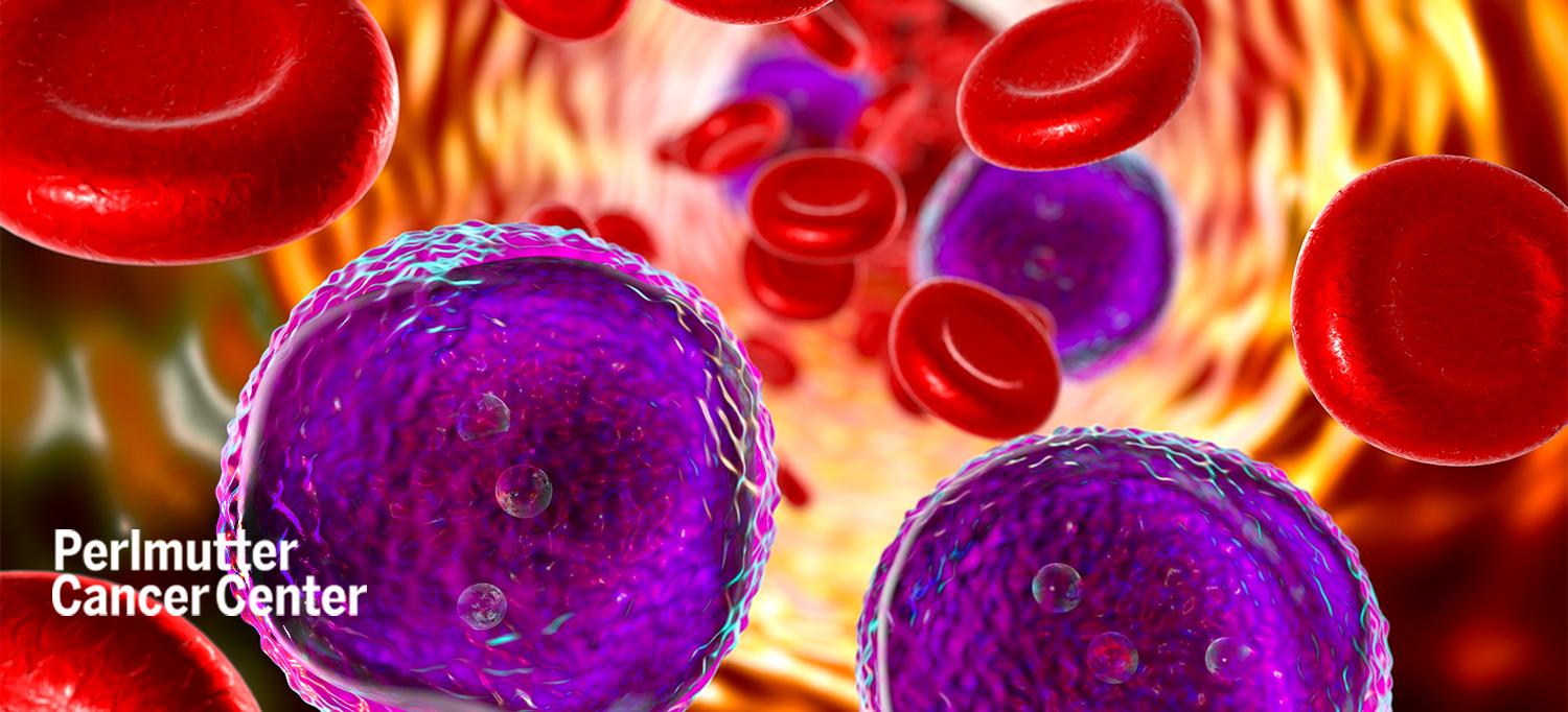 Lymphoblasts in Blood